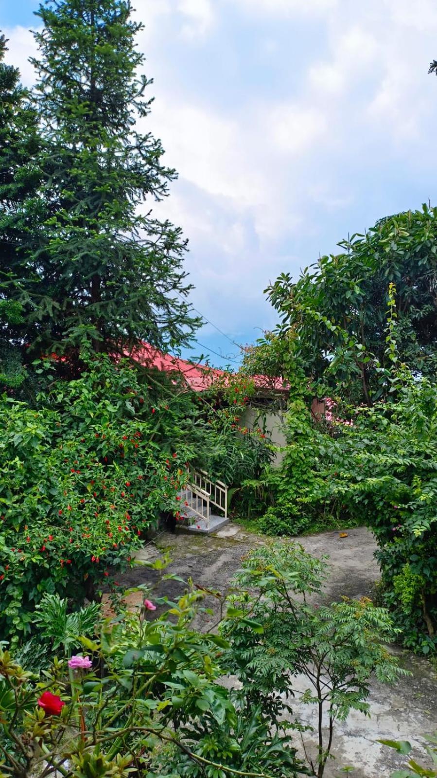 Aam'S Courtyard Hotel กาลิมปง ภายนอก รูปภาพ
